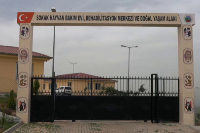 Siirt'te var Tunceli'de Neden Yok