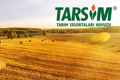 Doğal Afetler Çiftçileri Vurdu: TARSİM İle Yaralar Sarılıyor