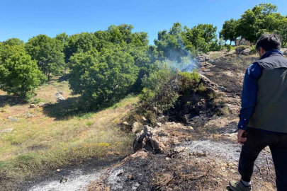 Tunceli’de yangın köye sıçramadan engellendi