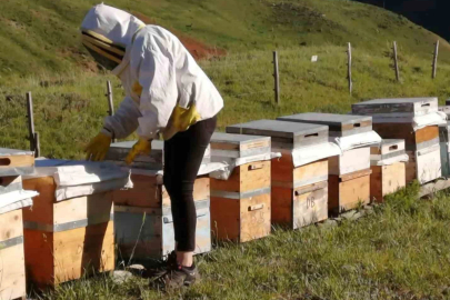 Tunceli Arıcı Yetiştiricileri Birliği bal alım fiyatlarını açıkladı