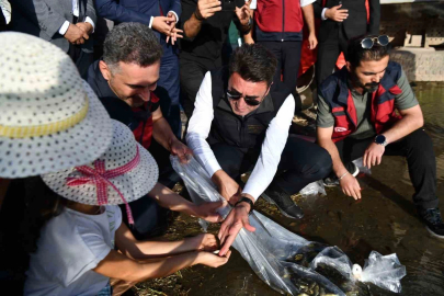 Tunceli’de 850 bin adet balık suyla buluşturuldu