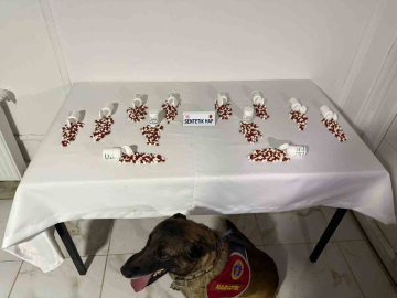 Tunceli’de narkotik köpeği ’Ayar’ bagaja zulalanmış uyuşturucuyu buldu: 2 şüpheli yakalandı
