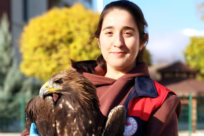 Yaralı halde bulunan kartal, tedavi altına alındı