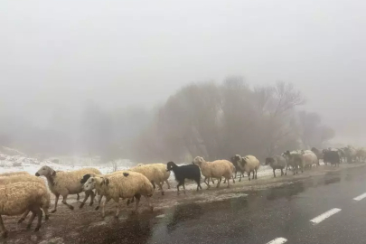 Tunceli’de Kış Kendini Gösterdi: Cankurtaran ve Karaoğlan’da Kar Mesaisi