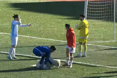 Ceza sahasında davetsiz misafir