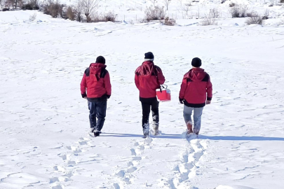 Tunceli’de Veterinerlerin Fedakâr Mücadelesi