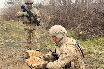 Şahin Kurtarma Operasyonu!