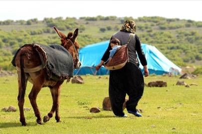 Tunceli'de 28 bin kişi kırsalda yaşıyor