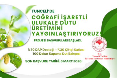 Tunceli’de Coğrafi İşaretli Ulukale Dutu Üretimini Yaygınlaştırma Projesi İçin Başvurular Başladı
