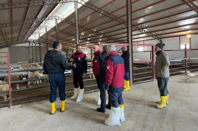 Mazgirt’te 585 Başlık Küçükbaş İşletmesi %50 Hibeyle Hayata Geçirildi