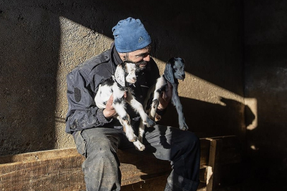 Besiciler kuzu ve oğlak doğumlarında zorlu mücadele veriyor