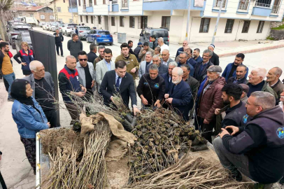 Çemişgezek’te vatandaşlara ücretsiz fidan dağıtıldı