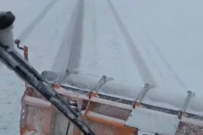 Tunceli’nin ilçelerinde kar etkili oldu