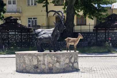 Çemişgezek’te Gülümseten Manzara: Gerçek Yaban Keçisi ile Heykeli Aynı Karede Buluştu!