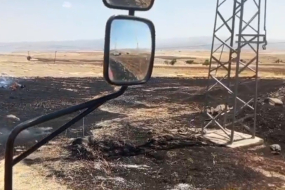 Tunceli’de otluk yangını ekili arazilere ulaşmadan söndürüldü