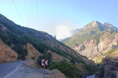 Munzur Vadisi Milli Parkı’nda örtü altı yangınına müdahale sürüyor