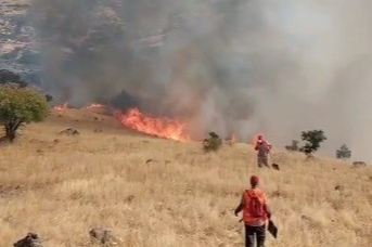 Nazımiye’de orman yangınına havadan ve karadan müdahale